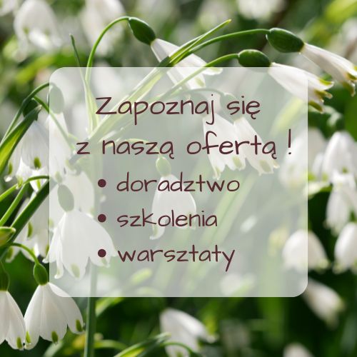 Projekt bez nazwy 6